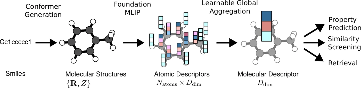 Pipeline diagram: a SMILES string becomes a 3D conformer, a foundation MLIP produces per-atom descriptors, and a learnable global aggregation contracts them into one molecular descriptor used for property prediction, similarity screening and retrieval.